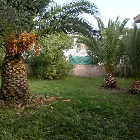 Il Fenicottero Rosa Olbia