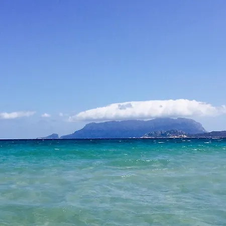 Vakantiehuis Il Fenicottero Rosa Olbia