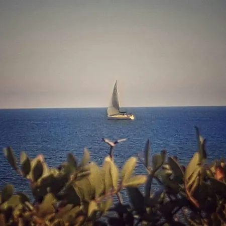 Vakantiehuis Il Fenicottero Rosa Olbia