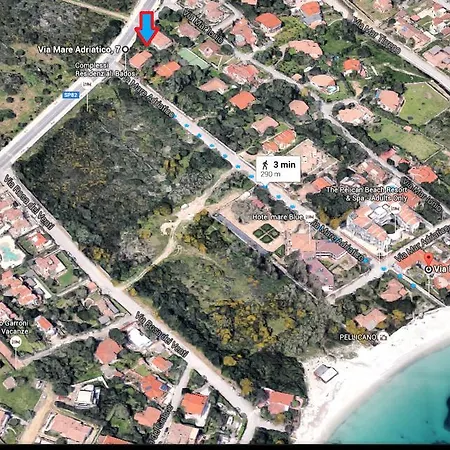 Il Fenicottero Rosa * Olbia