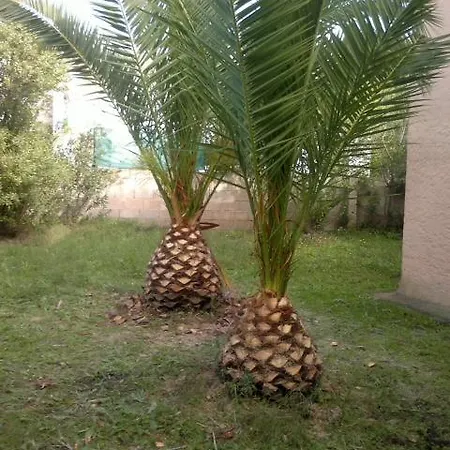 Сasa de vacaciones Il Fenicottero Rosa