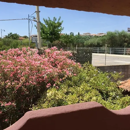 Il Fenicottero Rosa Olbia