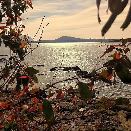 Il Fenicottero Rosa * Olbia
