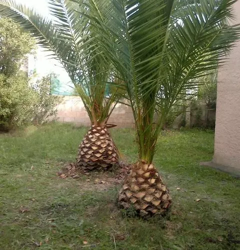Casa vacanze Il Fenicottero Rosa