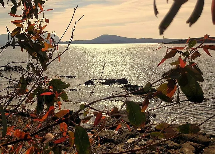 Il Fenicottero Rosa * Olbia